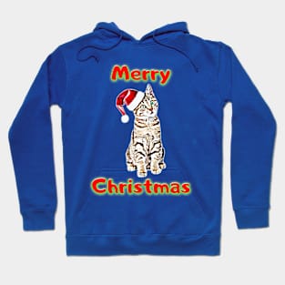 Cats Lovers THE BEST christmas gift, christmas decorations Hoodie